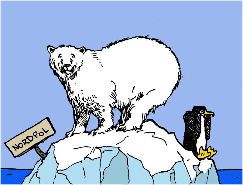 comic zeiechnung eines eisbären am nordpol